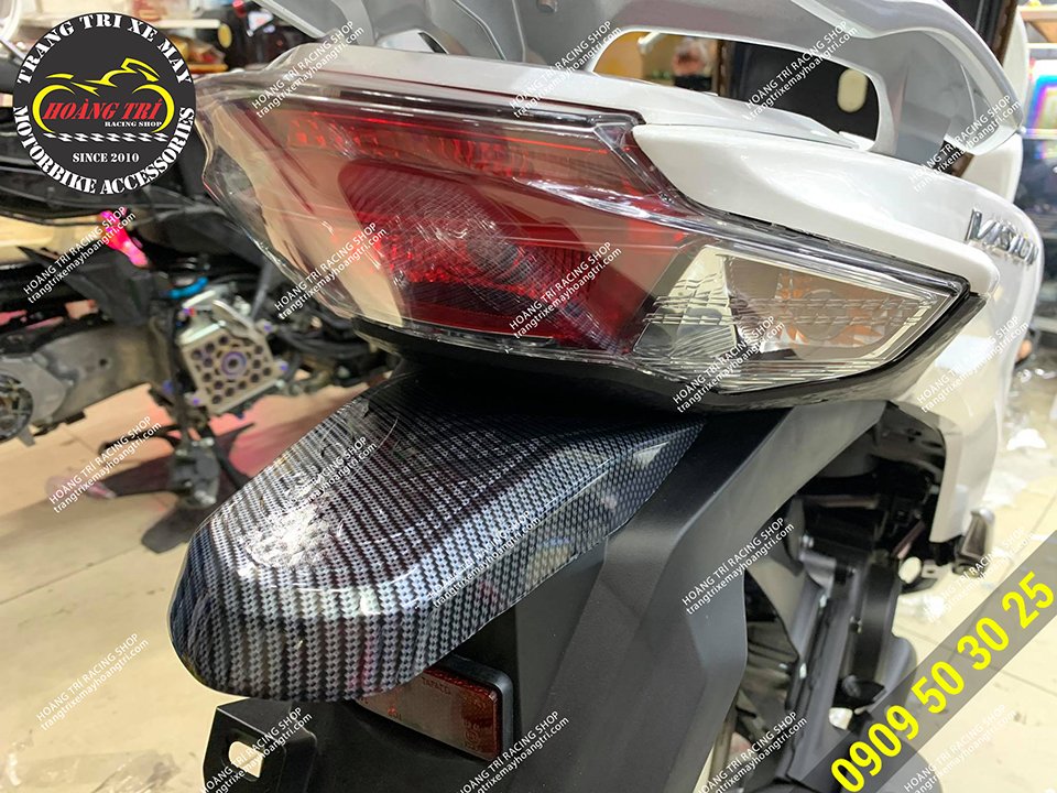 Vision 2021 tail lights with carbon paint