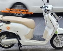 Baga trước Yadea Osta