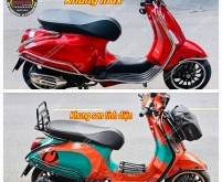 Khung bảo vệ Vespa Sprint / Vespa Primavera mẫu B1