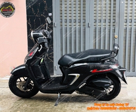 Baga sau tựa lưng xe Stylo 160
