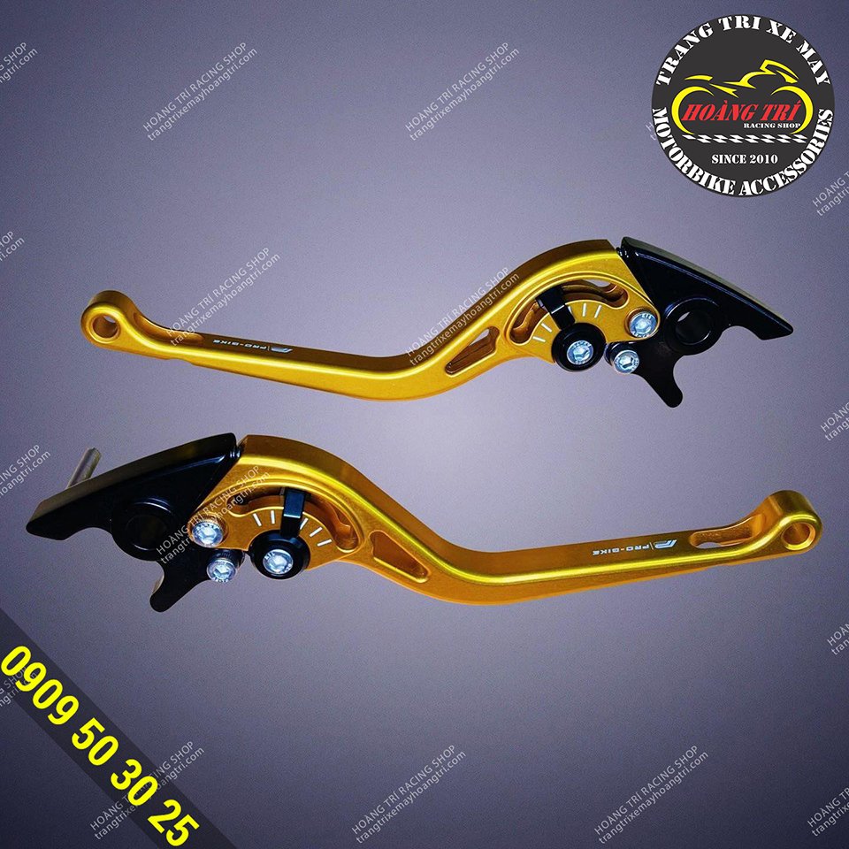 Pro Bike CNC 7075 handlebar for ADV 150 (gold color)