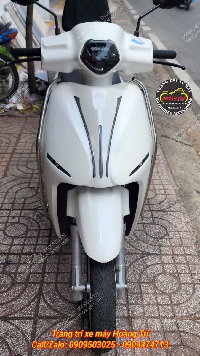 Nhìn trực diện, khung bảo vệ inox Datbike ERA càng nổi bật hơn với đường viền inox