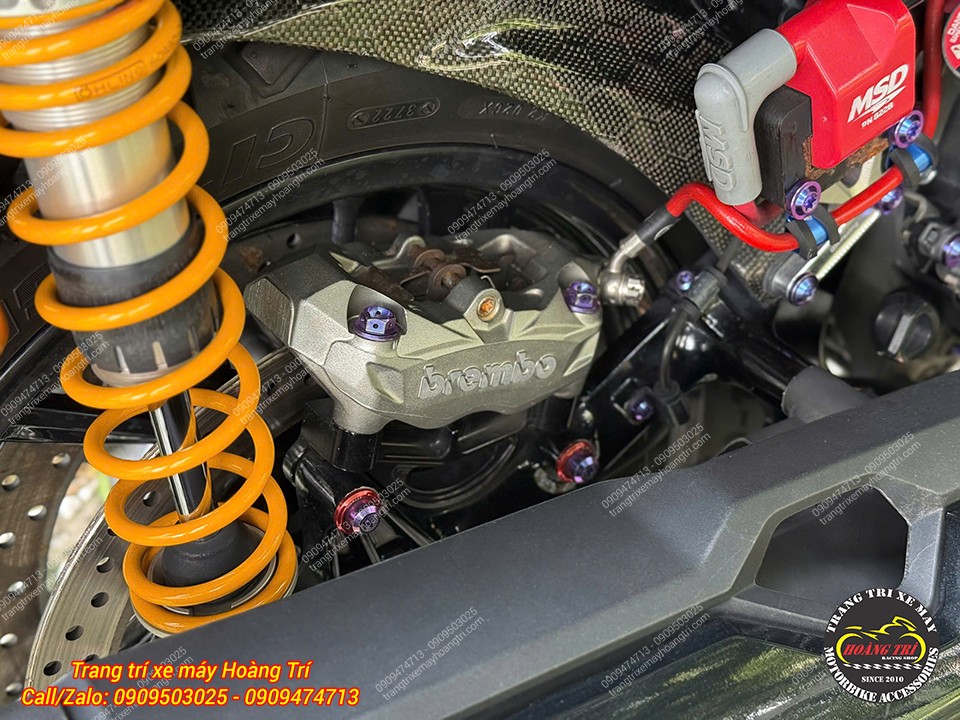 Heo dầu Brembo phía sau phối cùng phuộc Ohlins, tạo dàn chân cứng cáp và cao cấp