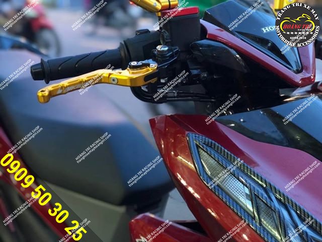 Close-up details of the anti-broken Biker handbrake on the Vario 2018