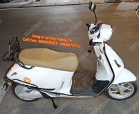 Khung bảo vệ xe máy điện Yadea