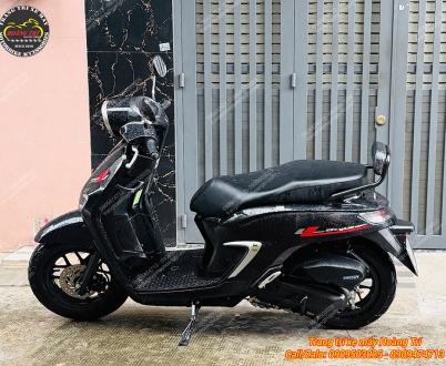 Baga sau tựa lưng xe Stylo 160