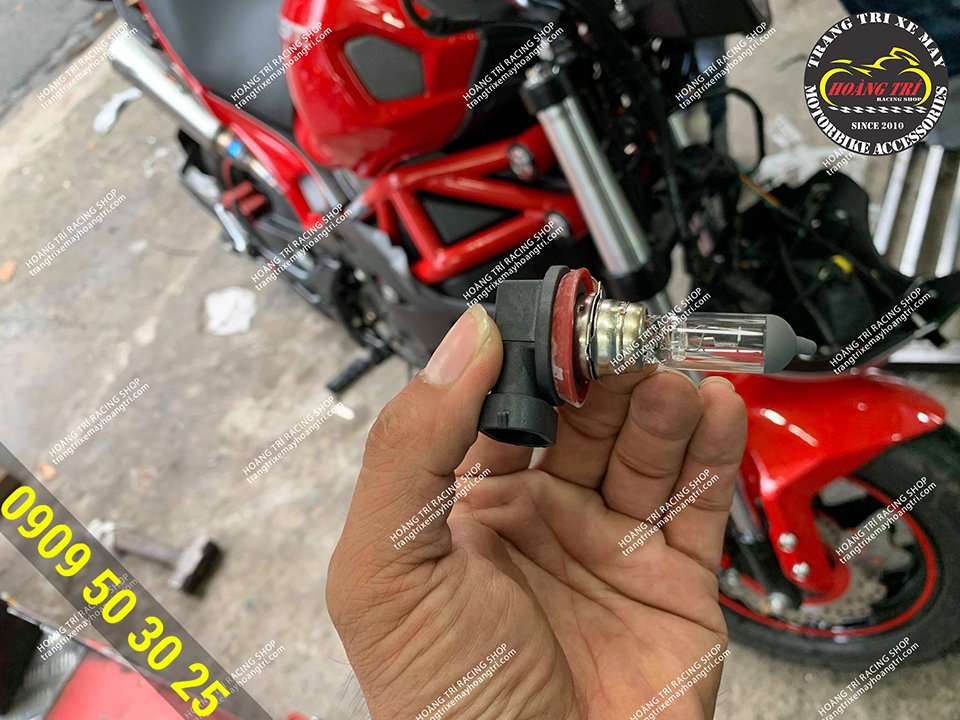 In hand, the zin bulb of Ducati Monster 110