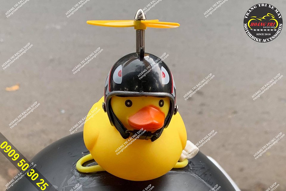 Close-up of duck wearing a helmet mounted on a motorcycle helmet