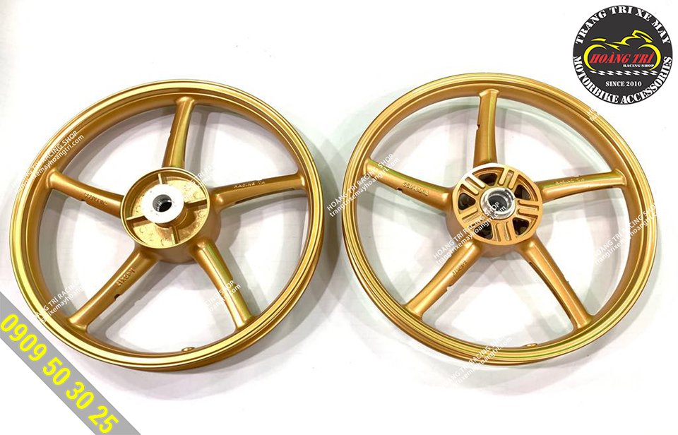 Beautiful gold TH Racing rims (identical to the 5 Racing Boy rims)