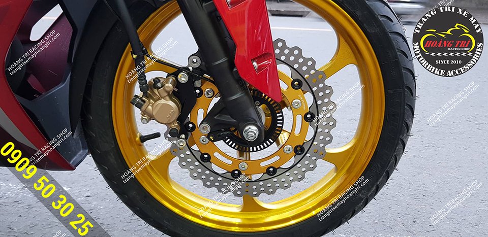 Close-up of Winner X front disc - Rapido front disc