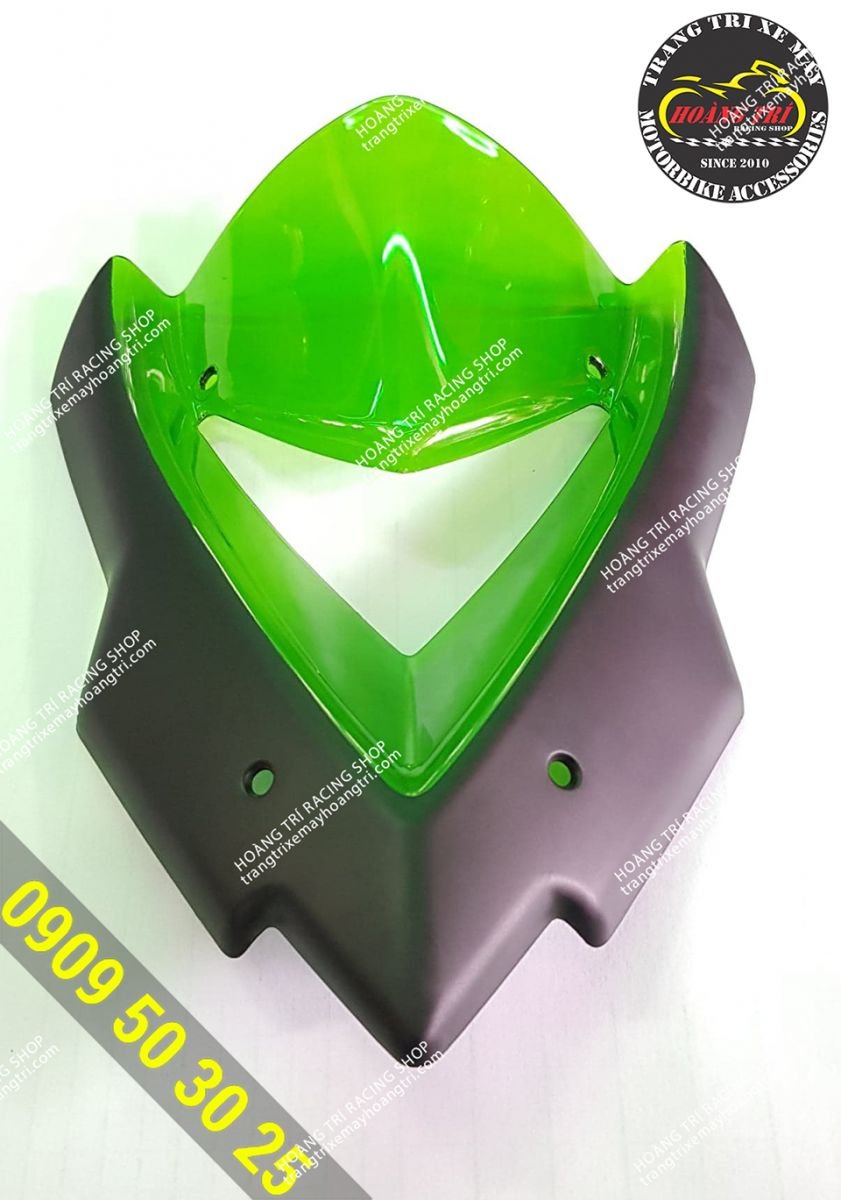 Windshield model Kawasaki Z1000 transparent green